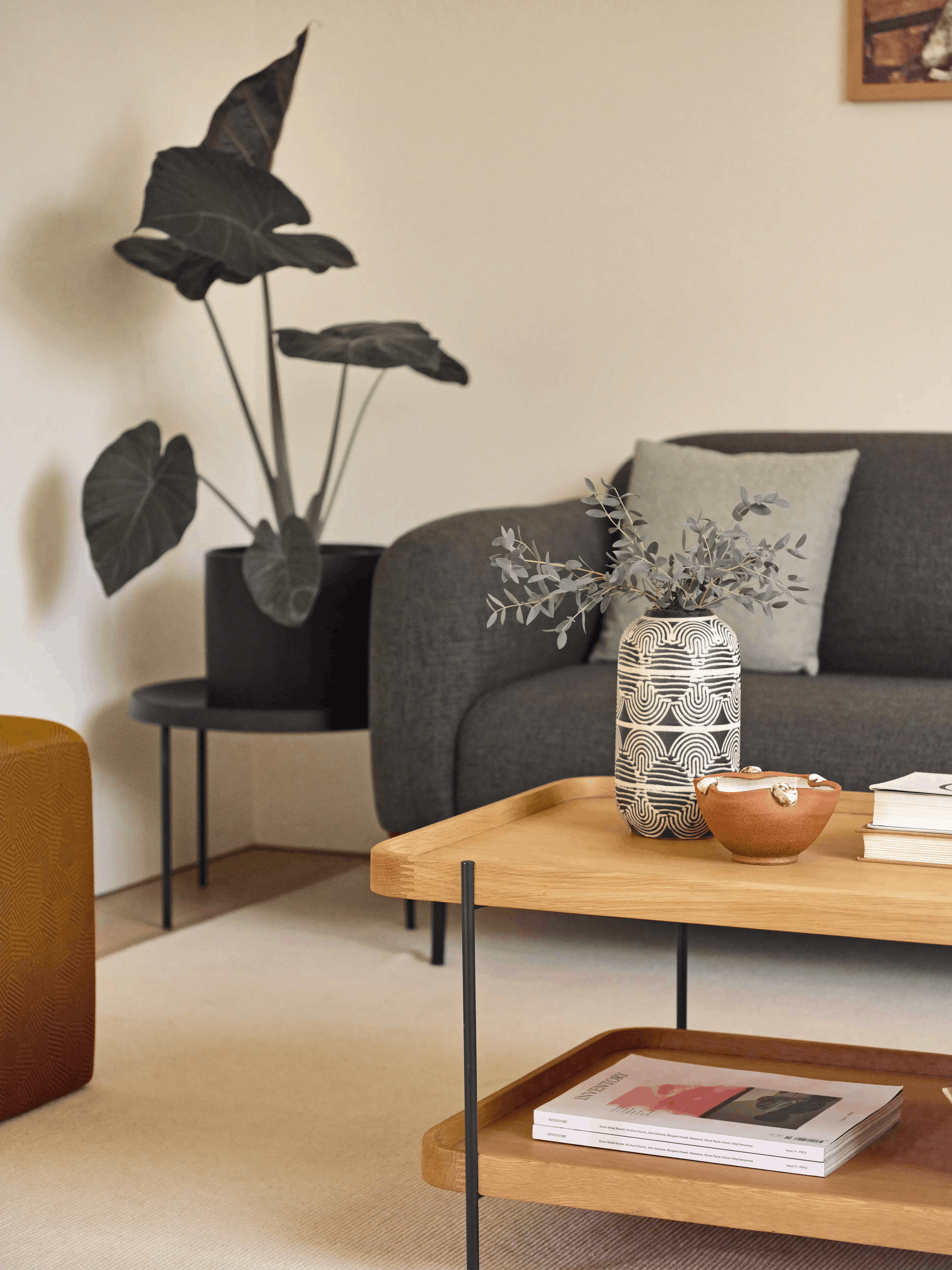 Interior shot of a living room in a Type Five ADU, staged with a wooden coffee table, dark green couch and houseplant