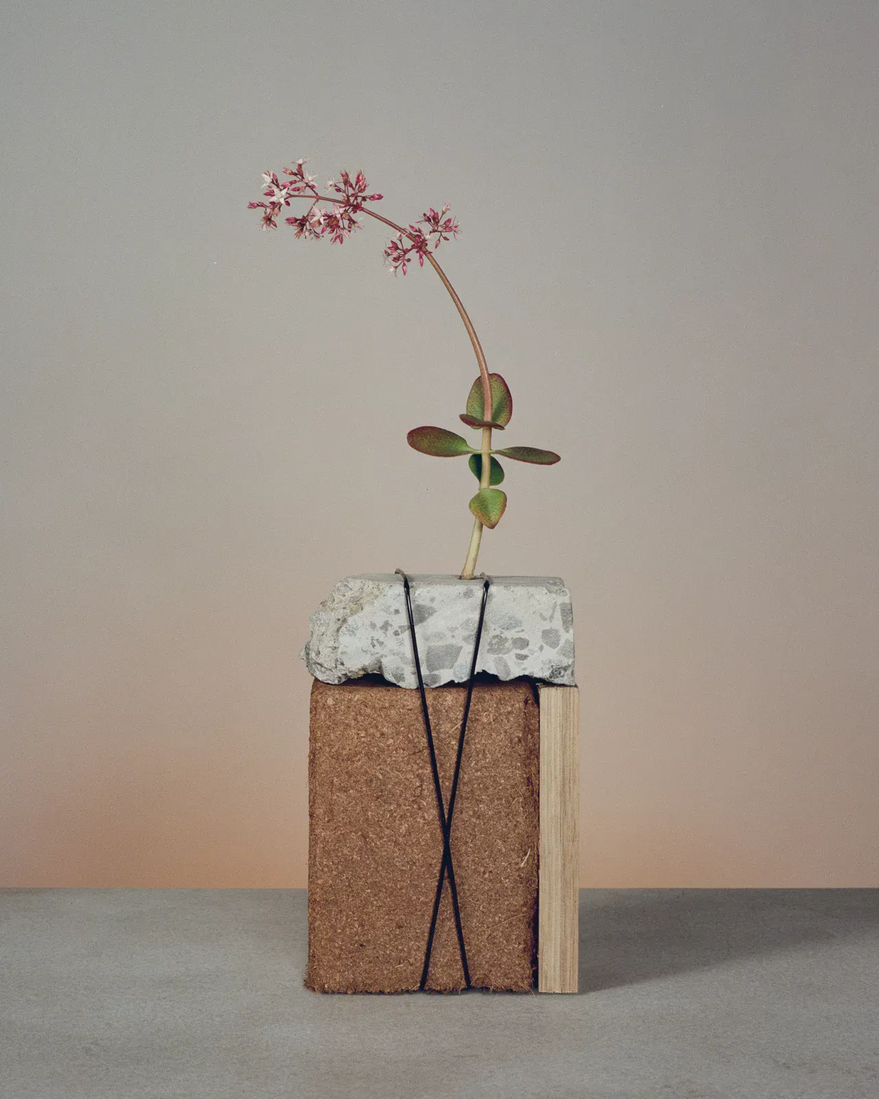 Object design photograph from Hardly Together by Field Experiments at Fisher Parrish gallery. A delicate flowering stem rises from a sculptural assemblage of stacked materials — a rough terracotta-toned block topped with a speckled terrazzo-like slab — set against a soft gradient backdrop. U-P(co)2010