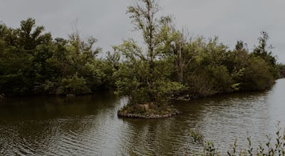 Visite : la réserve LPO de Cambournet-sur-le-Sor
