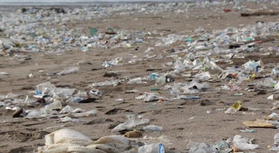 Plage polluée par des déchets plastique