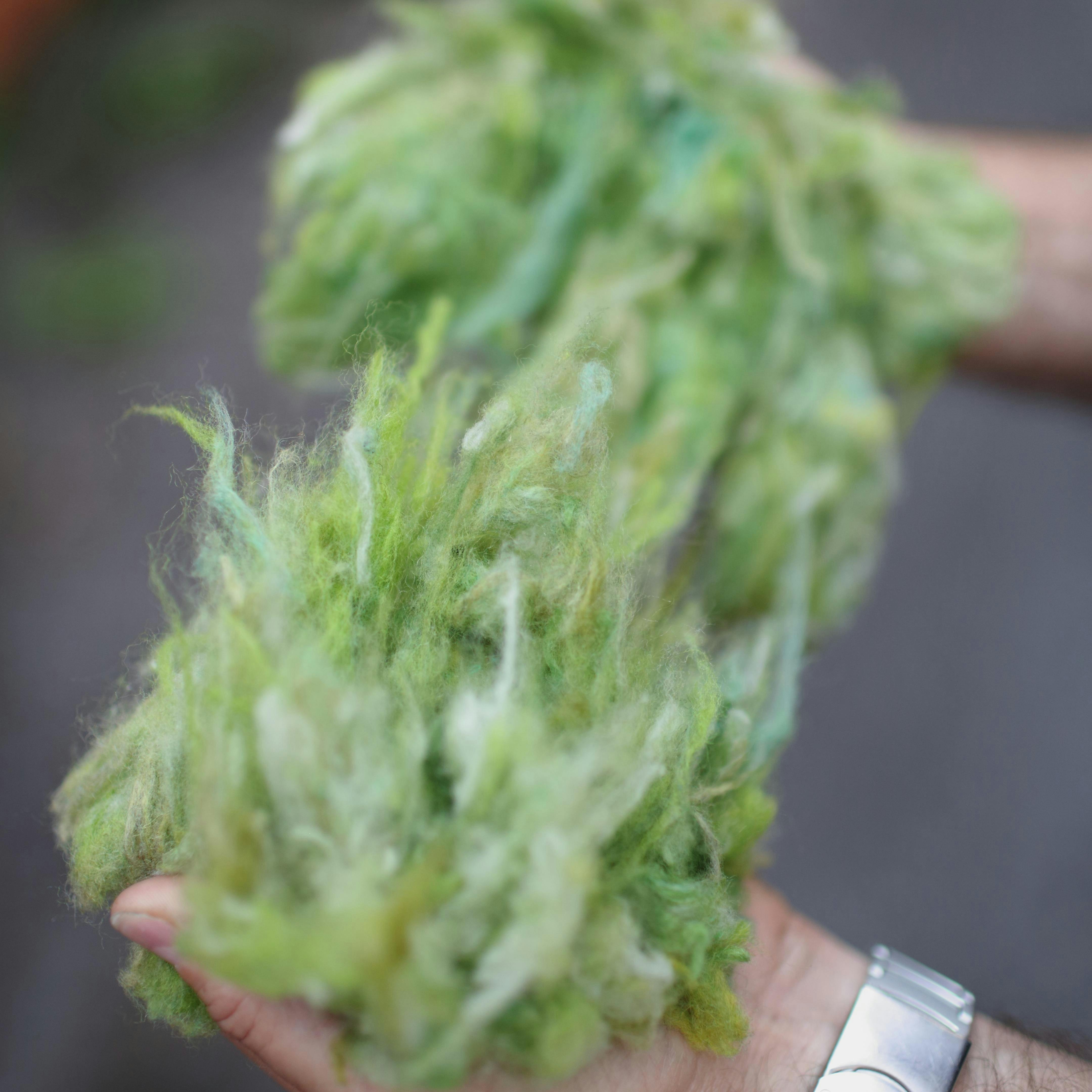 Fibres de laine recyclée