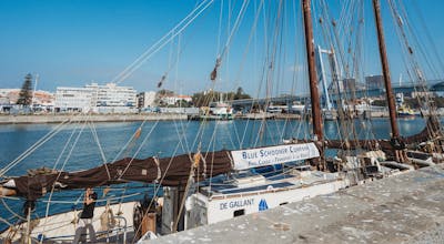Ubac ramène ses baskets à la voile