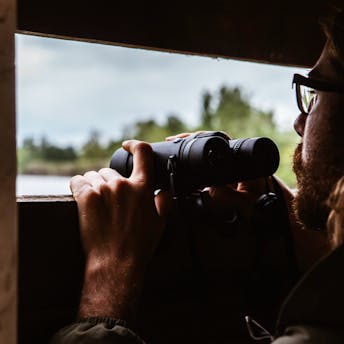 Personne observant des oiseaux à travers des jumelles