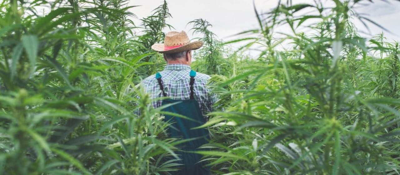 Why relocate hemp textile in France?