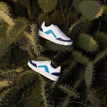 Baskets dans cactus