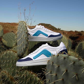 Baskets dans cactus