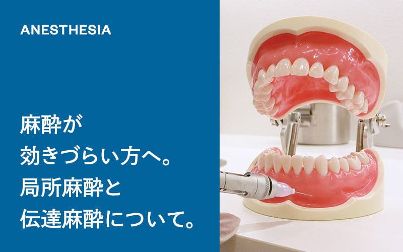 麻酔が効きづらい方へ:局所麻酔と伝達麻酔について。(ドクターひろかみんチャンネル)