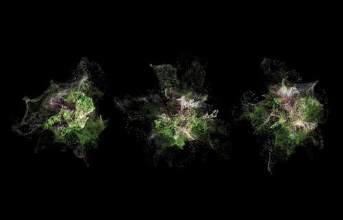 Amorphous: fusing technology and climate change, raising awareness through TouchDesigner-generated Climate Paintings – visually stunning, informative art