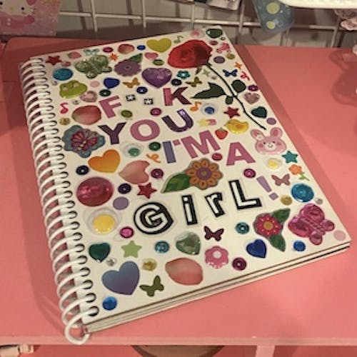 "F**K YOU IM A GIRL"