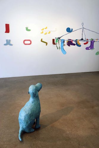 The Dog And The Socks