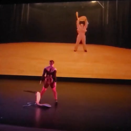 A projection of a woman wearing purple sweatpants and dragging a chair comes on the backdrop of a dark stage. The same woman comes on stage wearing the same clothes and chair. The woman asks the audience if they like her hair, face, or clothes first in the video. Then the woman performing takes off the sweatpants revealing red lingerie under. The dancer and video exchange questions directed to the audience and herself, challenging the male gaze. The chair acts as a barrier to her movement, getting pinned down by the chair, lifting it, dropping it, and dragging the chair. The dancer poses the question of the value of her body, what she wears, and how she moves. She pushes the audience to reflect on what they like, if any, of her.