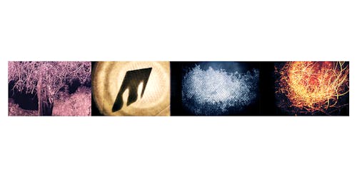 "burning trees and free," features a series of four distinct, abstract images arranged horizontally. The first image shows a tree with intricate branches set against a dark background with a purplish hue. The second image depicts a shadow of a fabric with cut-out shapes projected onto a golden circular light. The third image presents a dense, textured area that appears to be white foliage or a mesh pattern against a dark blue backdrop. The fourth image showcases dynamic, fiery orange lines resembling burning branches or sparks against a dark background. This work explores themes of intimate personal experiences, memories, a search for belonging, and anxiety.