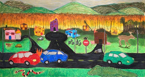 Oil pastel drawing that depicts an apocalyptic scene. The skyline is gray with green hills. A forest fire lies below them. There is a neighborhood of various colored homes on fire. On the left mid ground is a rabid dog, the middle right a cat on a stop sign, and on the far right a deer who faces the opposite direction of the scene with arrows sticking out of it. In the foreground, there is a street with two cars who are in a head-on collision, and on the right is a car driving away. On the bottom of the piece is a red and black snake, and a gator, both resting in green grass.