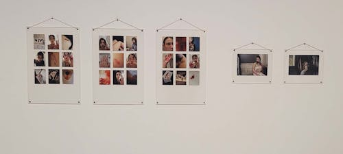 Three 16 inch by 24 inch plexiglass panels of 3 by 3 photo grids depicting various acts of bleeding, especially nosebleeds, are hung on a white wall. Two 11 inch by 13 inch plexiglass panels, which each hold one photo. The small frames hang besides the larger frames. The photos are of a woman with a nosebleed.  