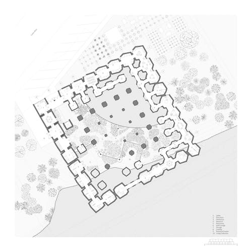 Floor plan of an arboretum and botanical garden composed of a grid of forms that transition from squares to hexagons.