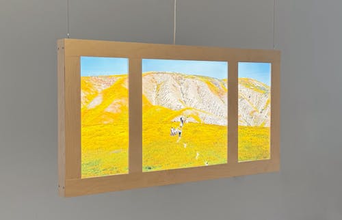 A wooden frame suspended by wire rope containing a backlit landscape photograph of hills covered in yellow wildflowers.