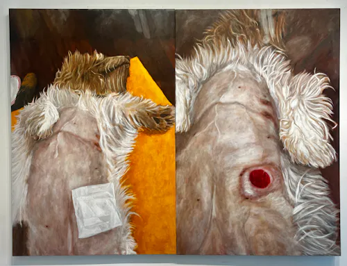This painting consists of two vertical canvases hung directly directly next to each other with the left one showing a white and brown fluffy dog on his back with a bandage on his abdomen and the right canvas depicted the same dog with the bandage removed and a circular red wound.