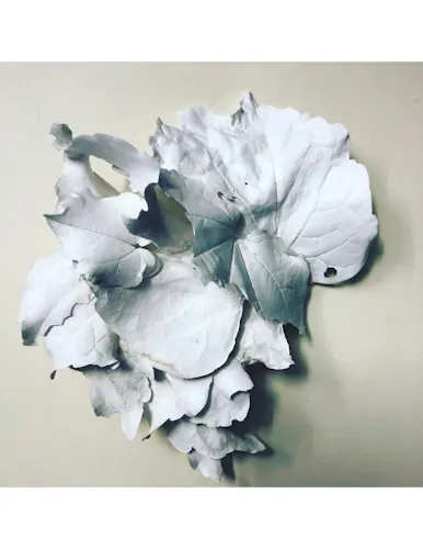 Captured is a series of sculptures holding onto a memory. Here is a memory of the flowers and shapes I have taken with me from my home town and dreams. 
