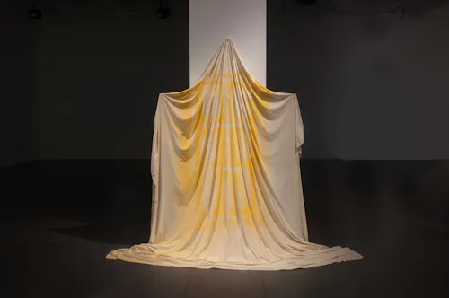 Untitled, 2023, Cotton fabric, resin, spray paint, wood, 84” x 102” x 16”