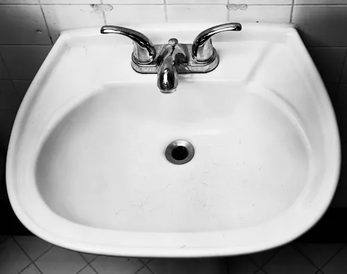 A white sink's oval basin is close cropped within the frame. Tiny specks of hair, shaved off with an electric razor, lie in the basin, black against the white ceramic. 