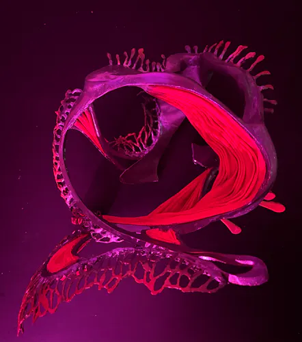 Sculptural artwork photographed under dramatic pink and red lighting. The piece features a complex, flowing form with curved, ribbon-like surfaces and webbed, lace-like edges. Tentacle-like protrusions extend from the top, and the inner surfaces are highlighted with vivid red accents, giving the structure an organic, almost anatomical or underwater creature-like appearance.