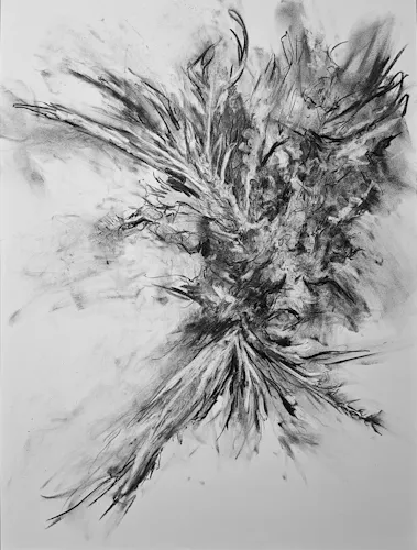 dead dove