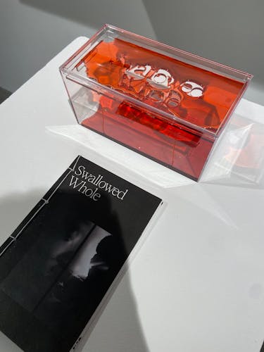 book and clear box with red-like liquid flowing through it on white pedestal