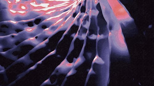 Work by Nick Michael Brogdon