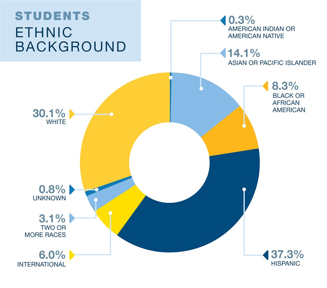 UCLA Education and Information Studies faculty diversity data. 14.1% Asian or Pacific Islander, 8.3% Black or African American, 37.3% Hispanic, 3.1% two or more races, 30.1% White, 30.8% unknown, 6% international, and 0.3% American Indian or American Native. Data is from 2019. Currently only data on binary sex as assigned at birth is available.