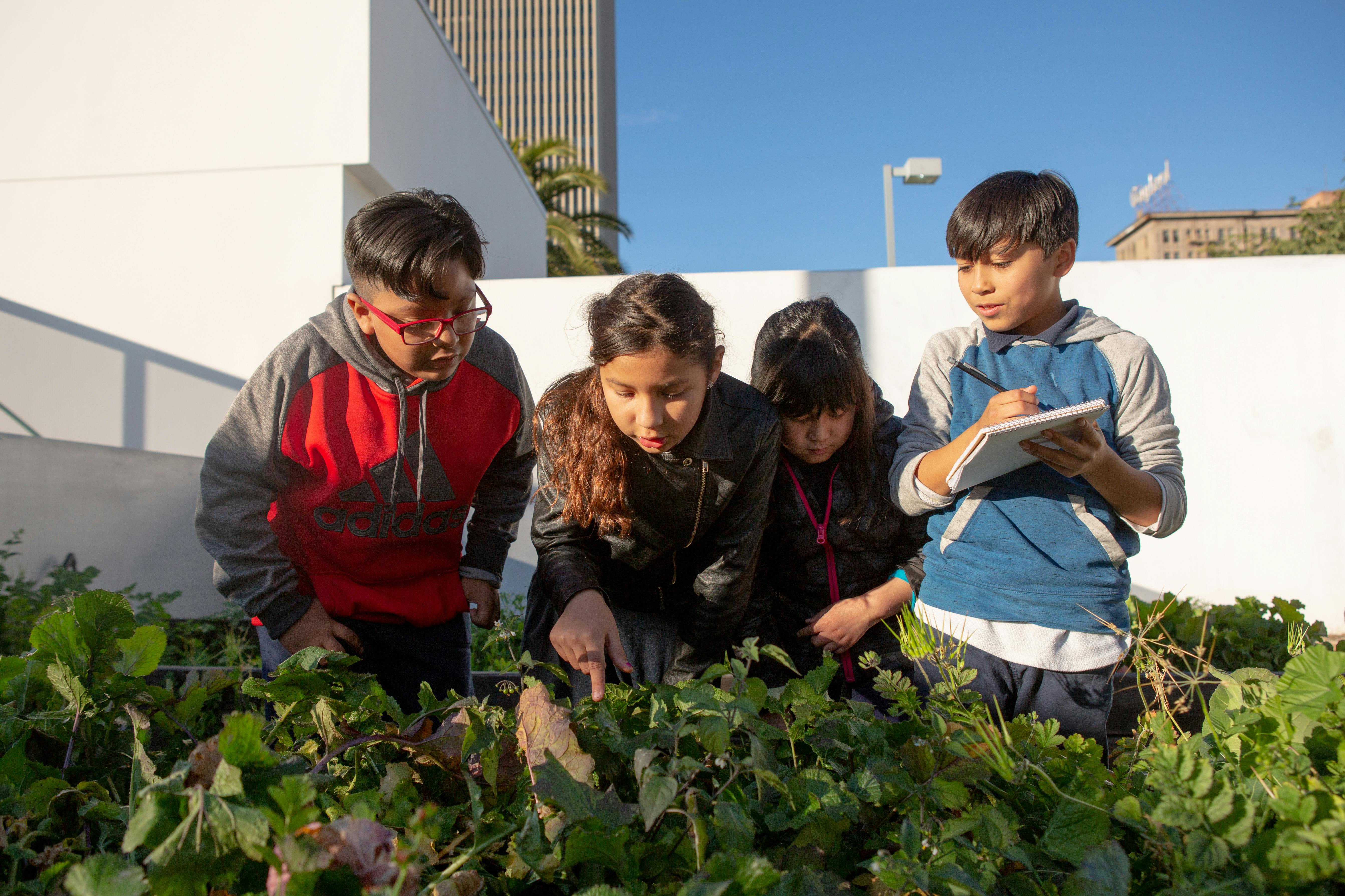 Ucla Tuition For 4 Years - jnvp8to
