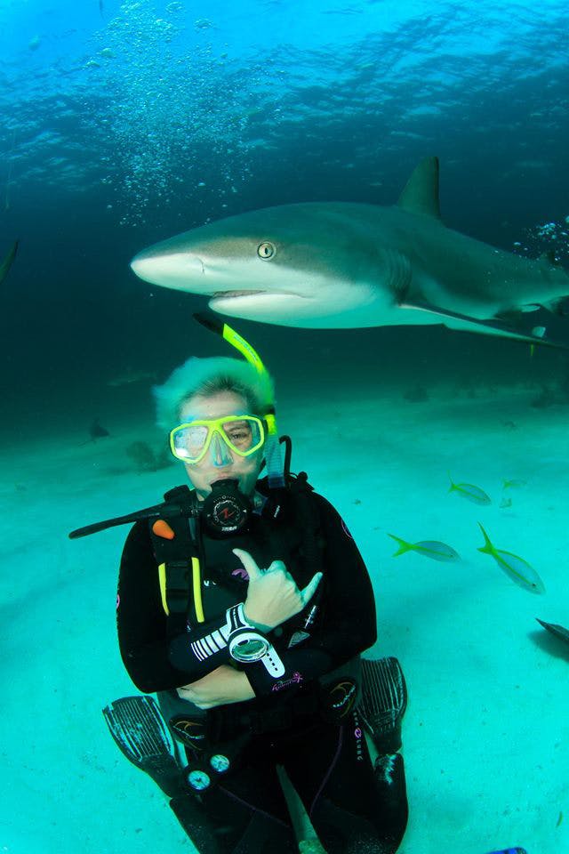 Natascha Chtena, a Ph.D. student in UCLA's Department of Information Studies, is studying the work of Ocearch, a nonprofit that is using Twitter as a platform for public education about sharks. Courtesy of Natascha Chtena