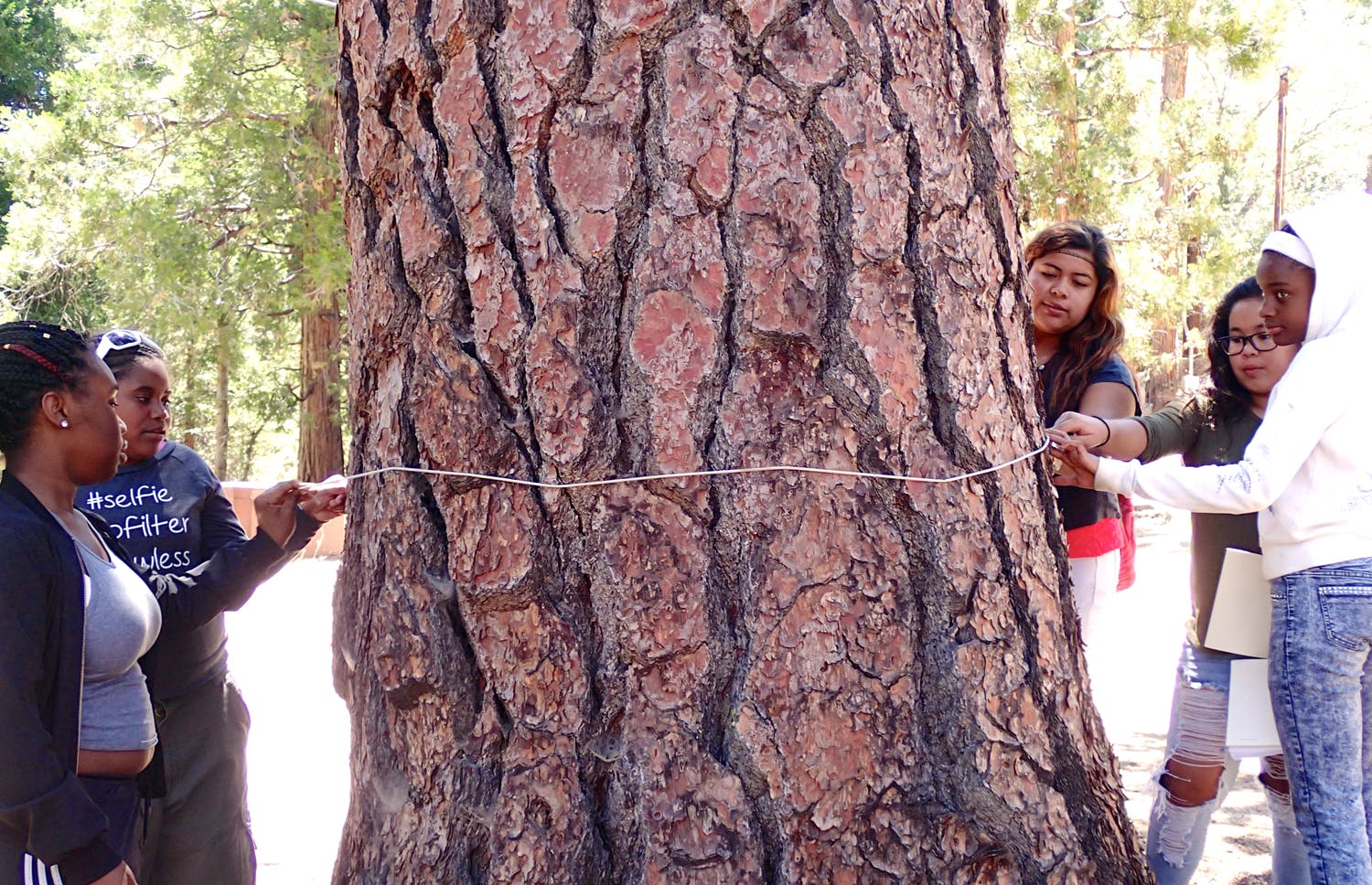 Academics were incorporated into the activities at UCLA's UniCamp, including a lesson using estimation skills to calculate the circumference of a tree. Photo by Sarah Bang 