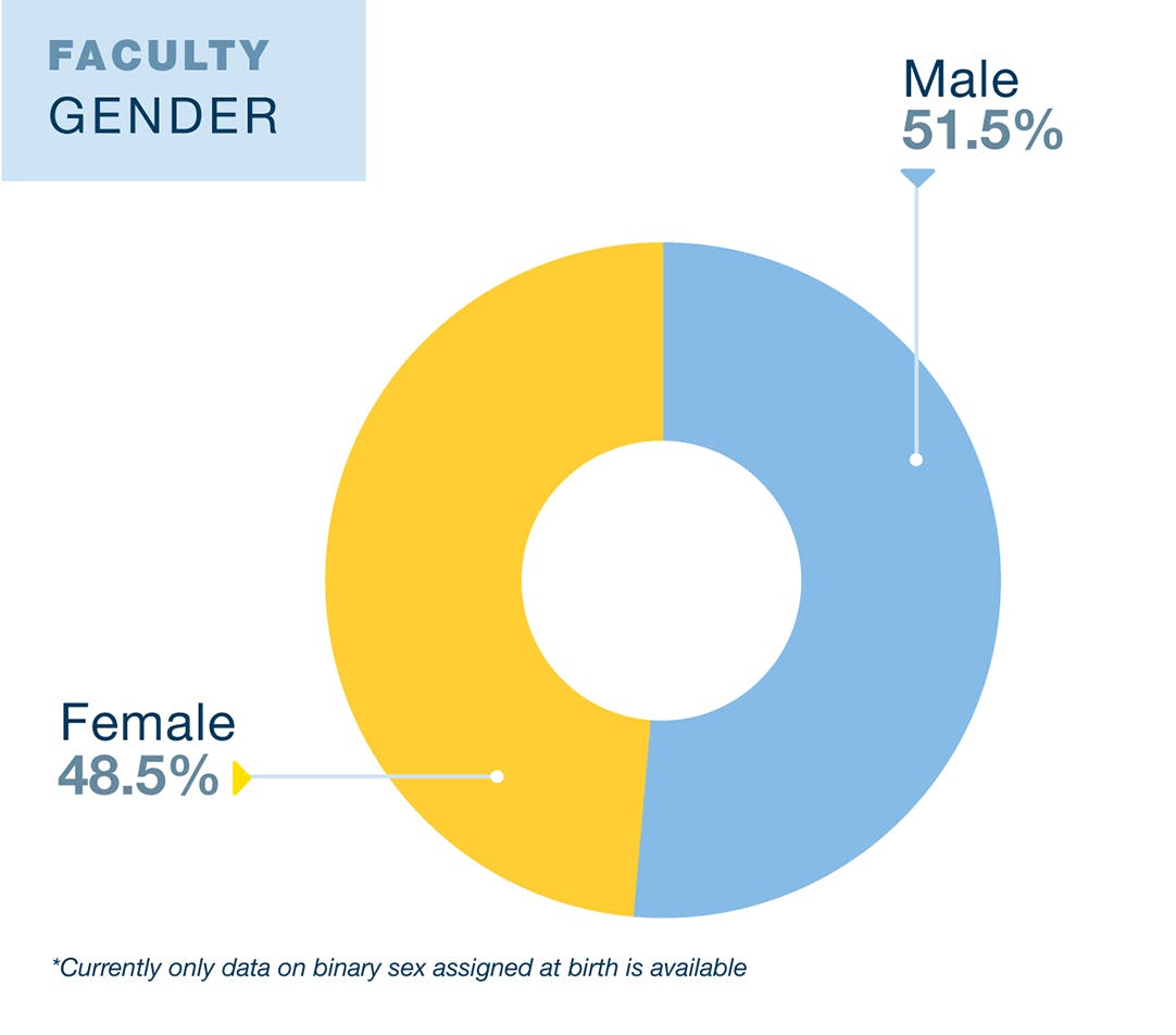 UCLA Education and Information Studies faculty diversity data. 51.5% Male and 48.5% Female. Data is from 2019. Currently only data on binary sex as assigned at birth is available.