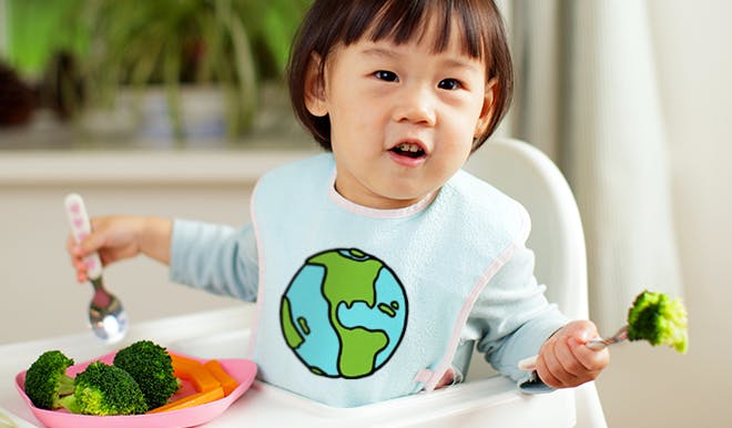 A toddler in a highchair eats broccoli