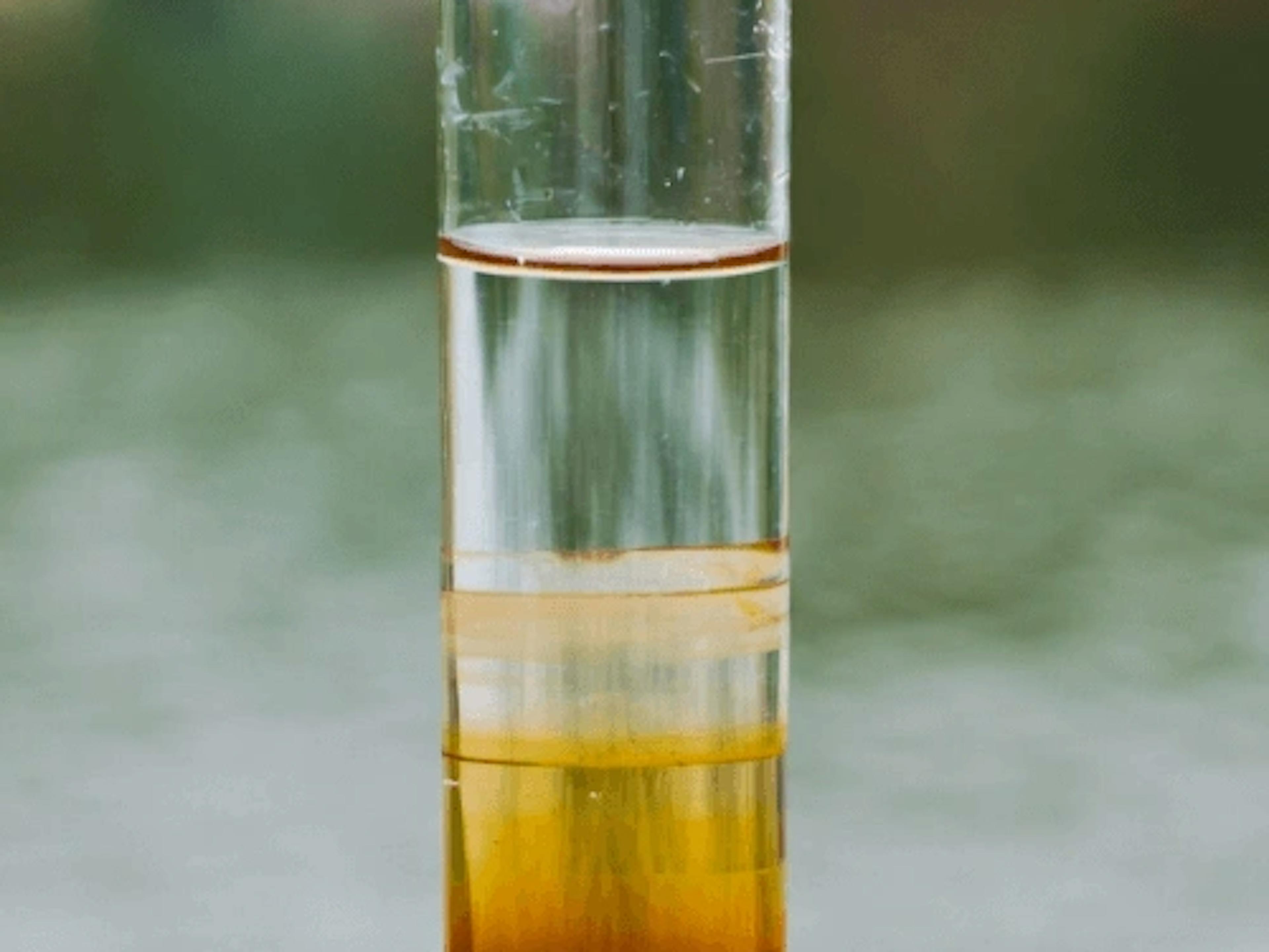 ūdens duļķainība