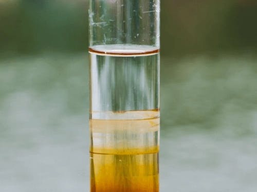 ūdens duļķainība