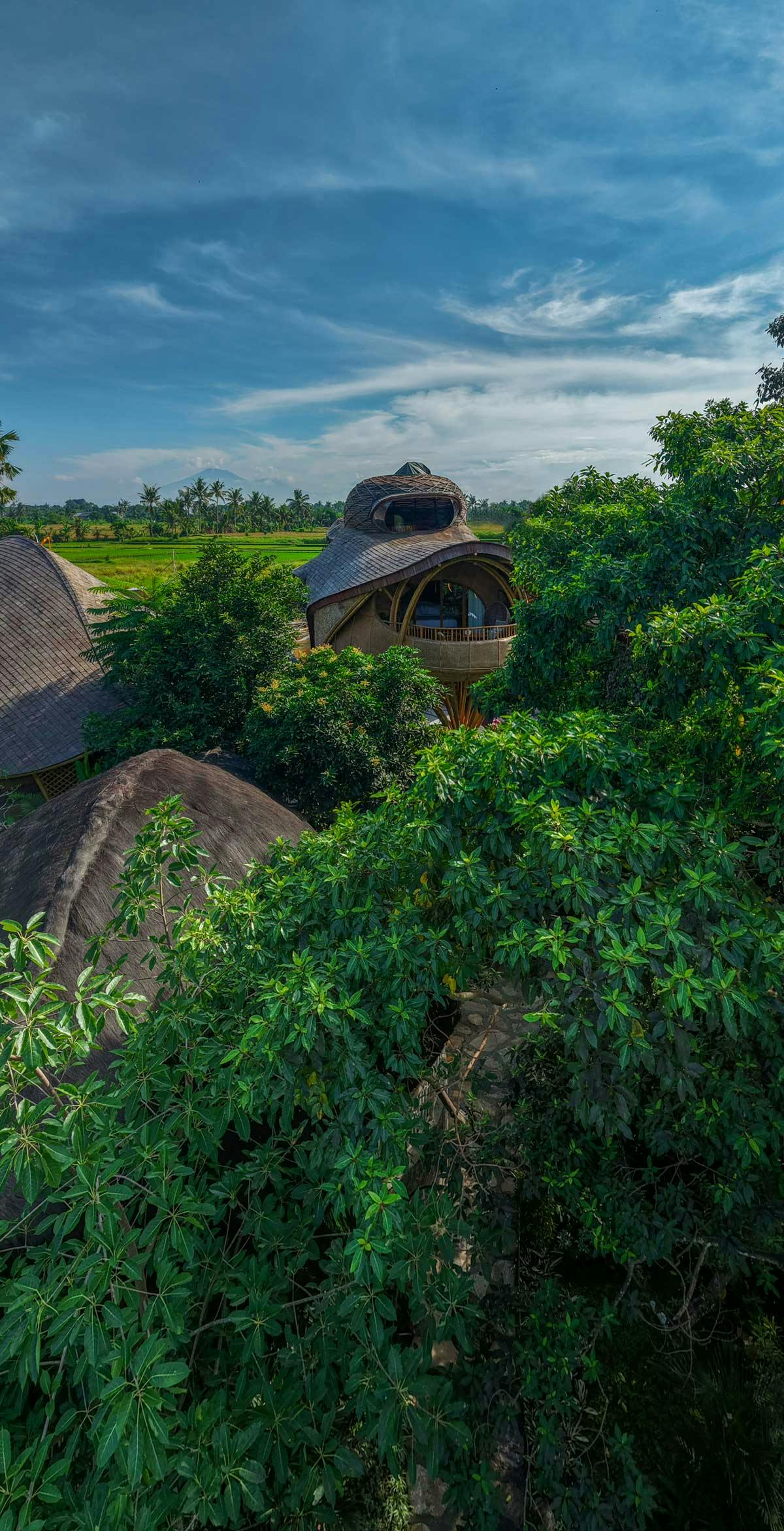 beautiful wooden villa birds eye view, surrounded by nature