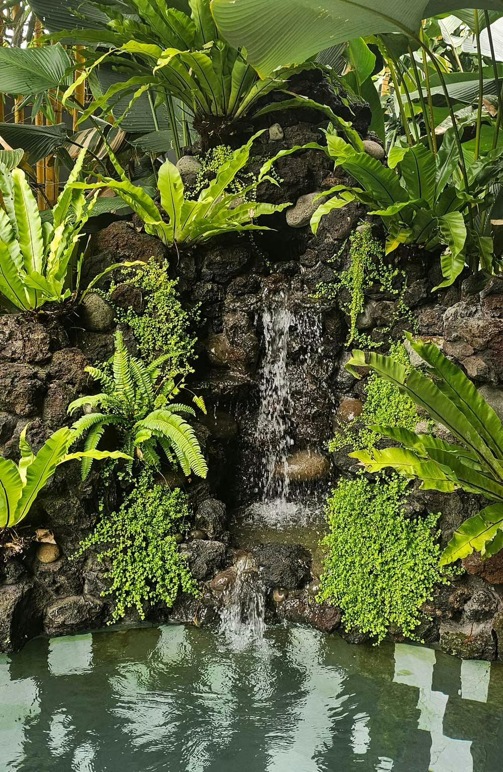 Close-up of a tiered rock waterfall cascading into a calm pool, densely surrounded by bird's nest ferns, river rocks, and bright green creeping plants