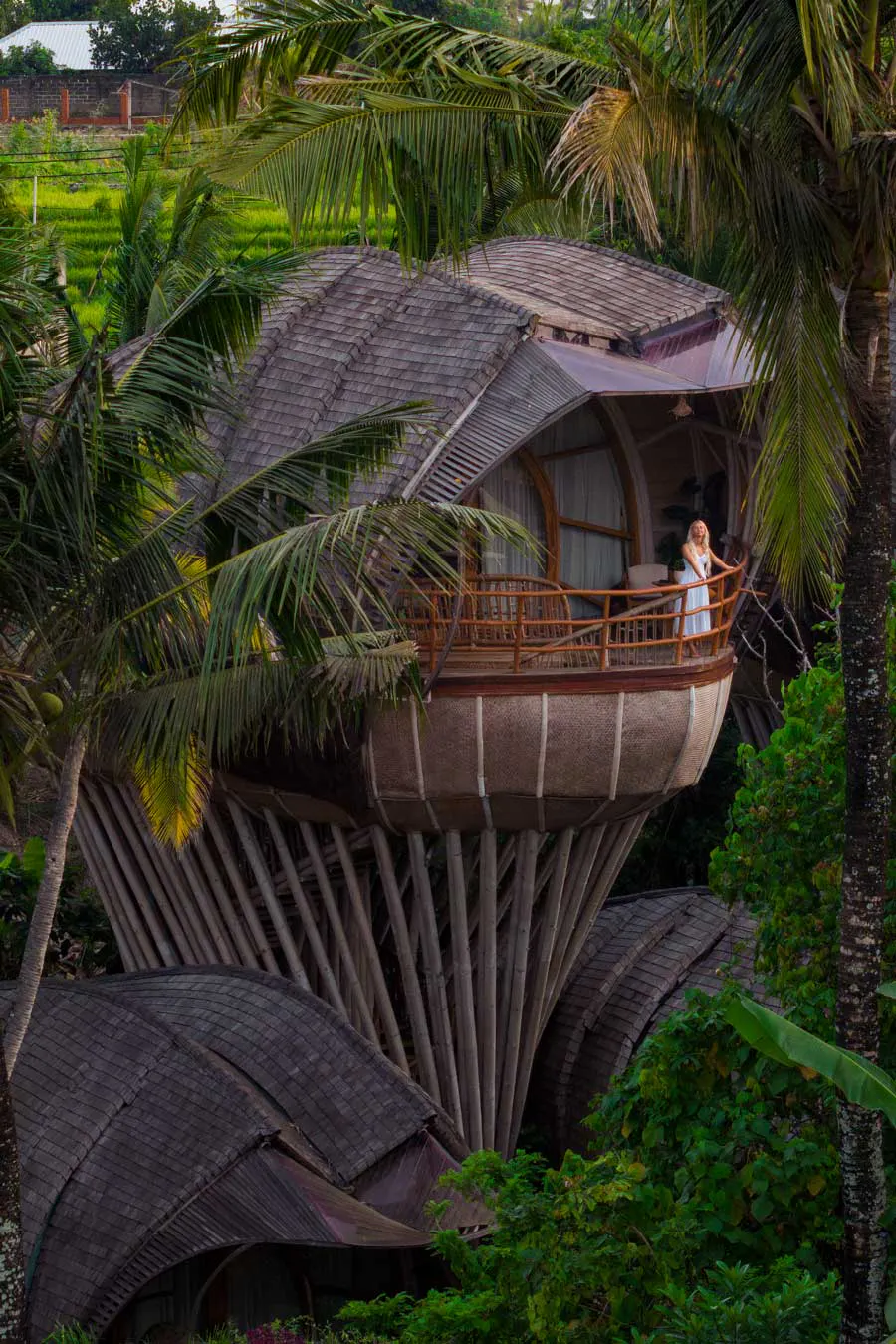 beautiful, avatar like eco luxury resort villa in bali