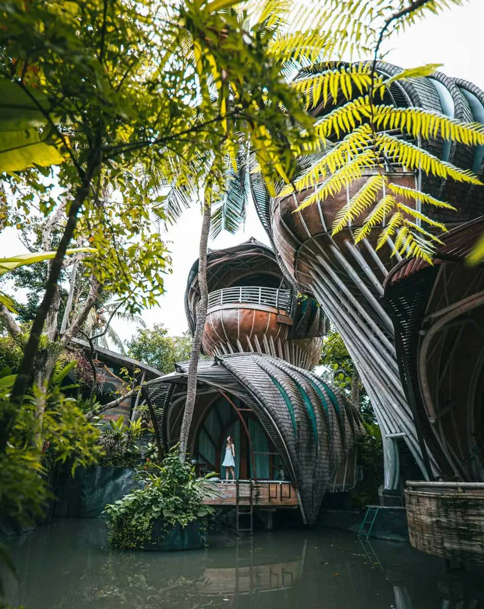 beautiful luxury villa by natural bio filtered lake in ubud bali