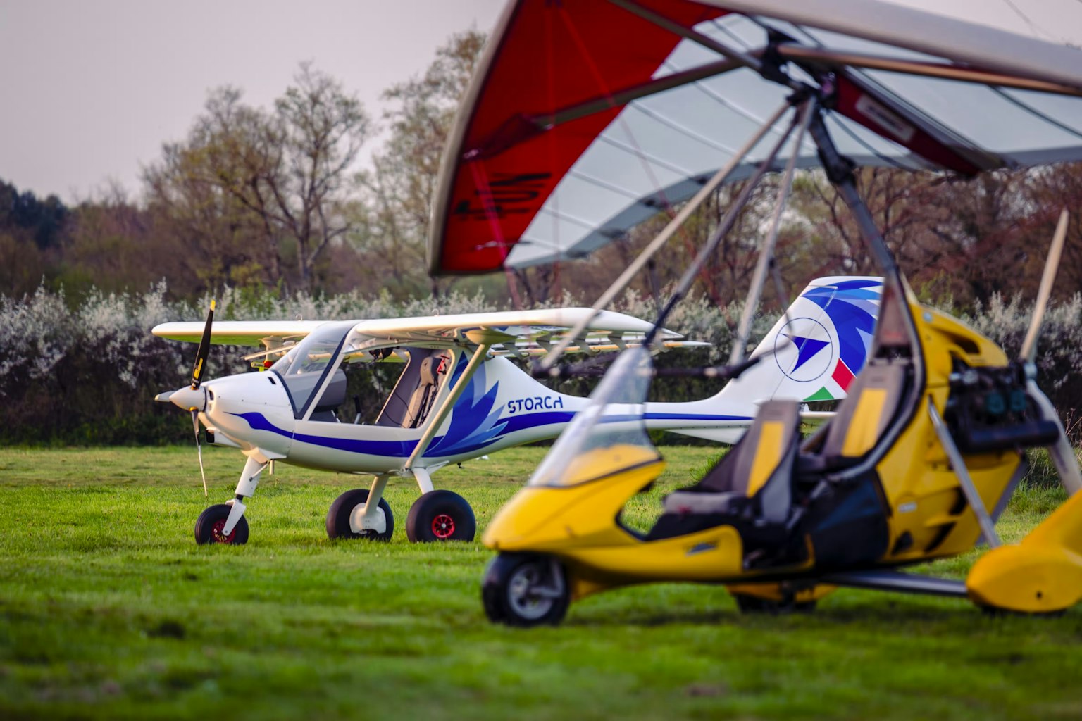 les avions d'ulm altitude 44