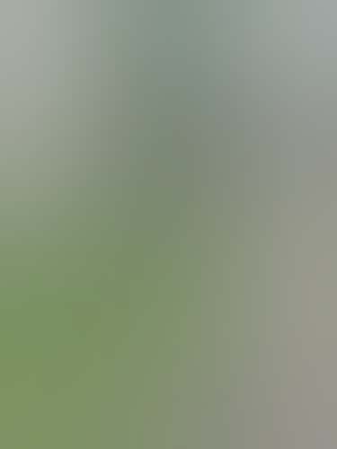 Concrete landscape edging