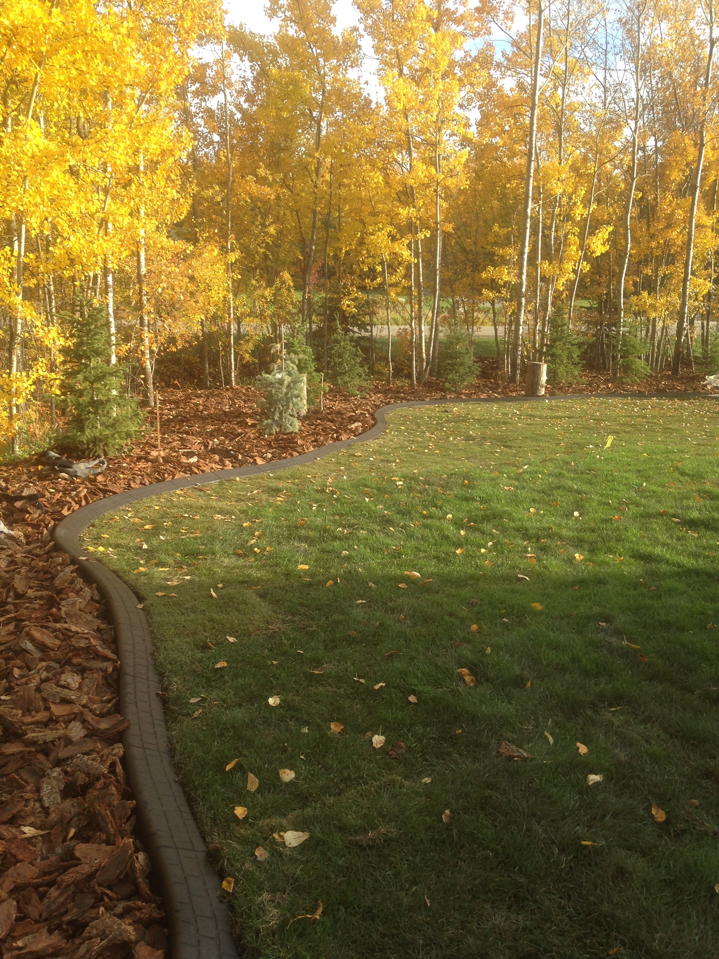 Angle concrete curbing