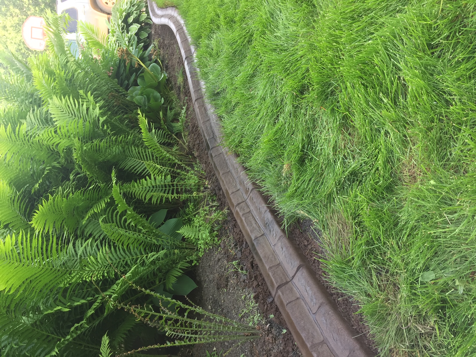 Mower edge concrete curbing 