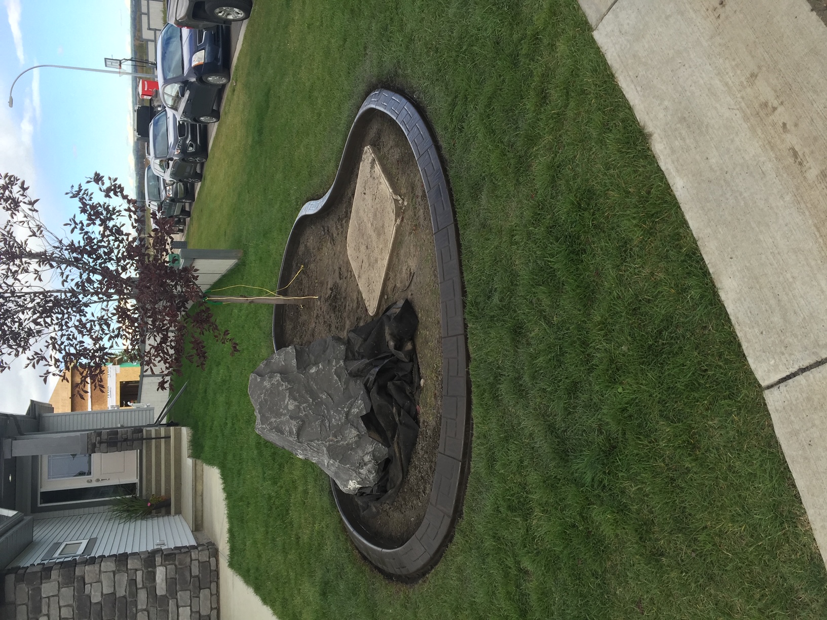 Concrete edging around a tree