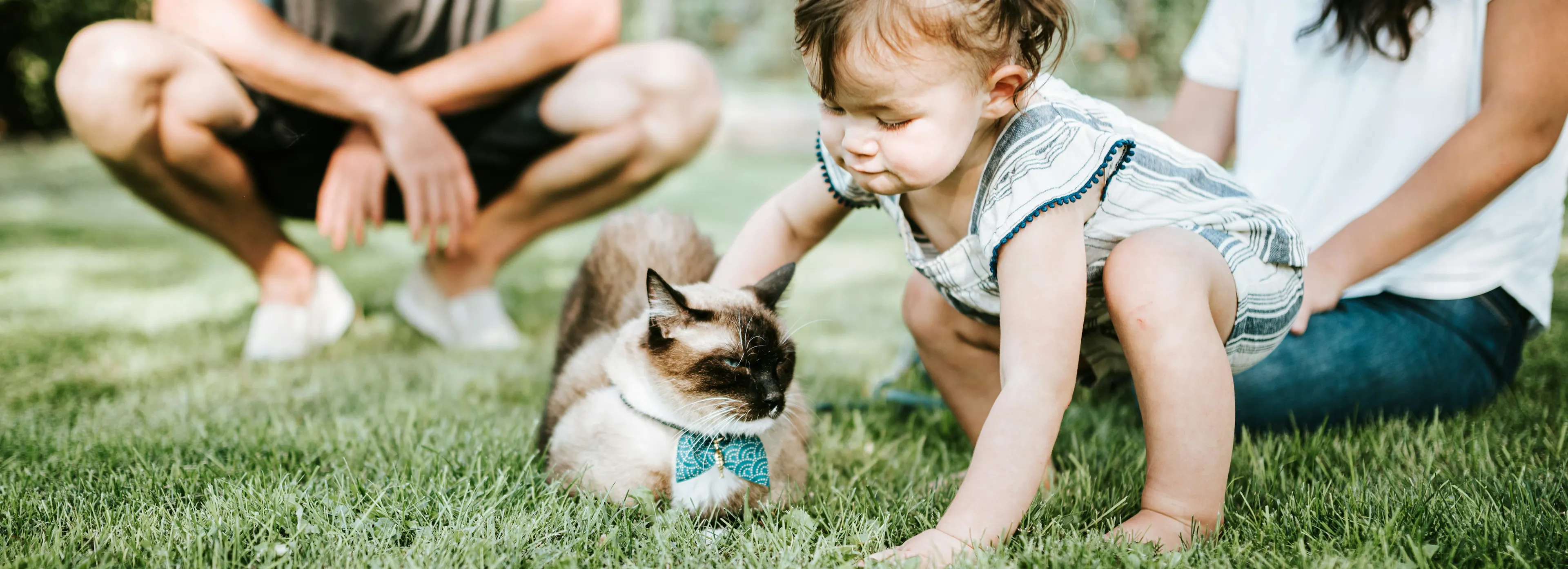 Peaceful baby girl petting her cat while being watched by her parents in their backyard.