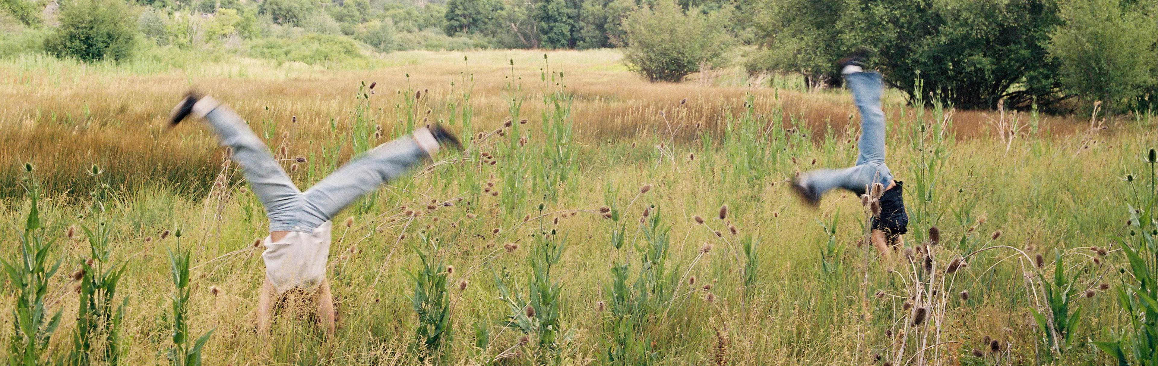Two playful people in grass field
