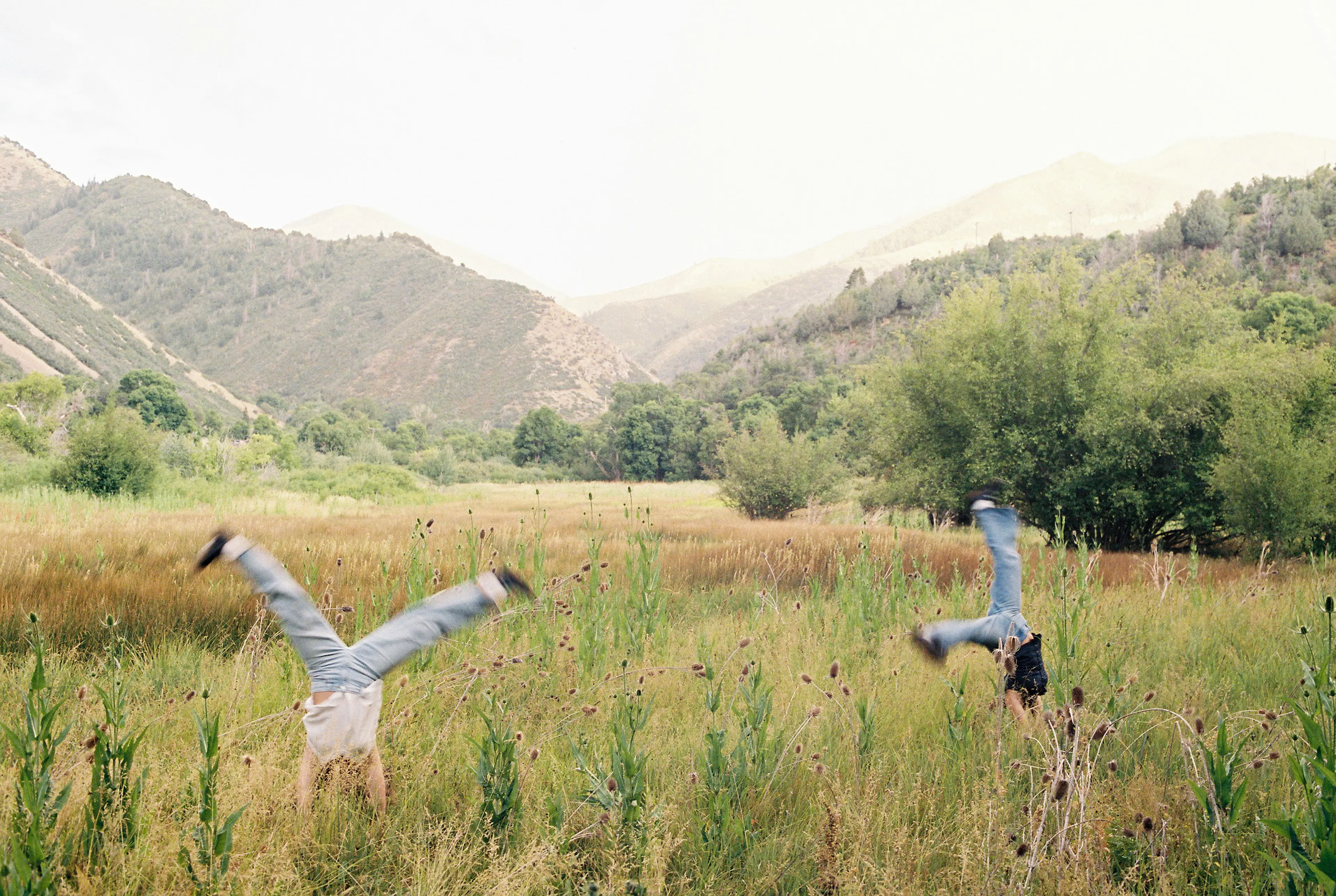 field