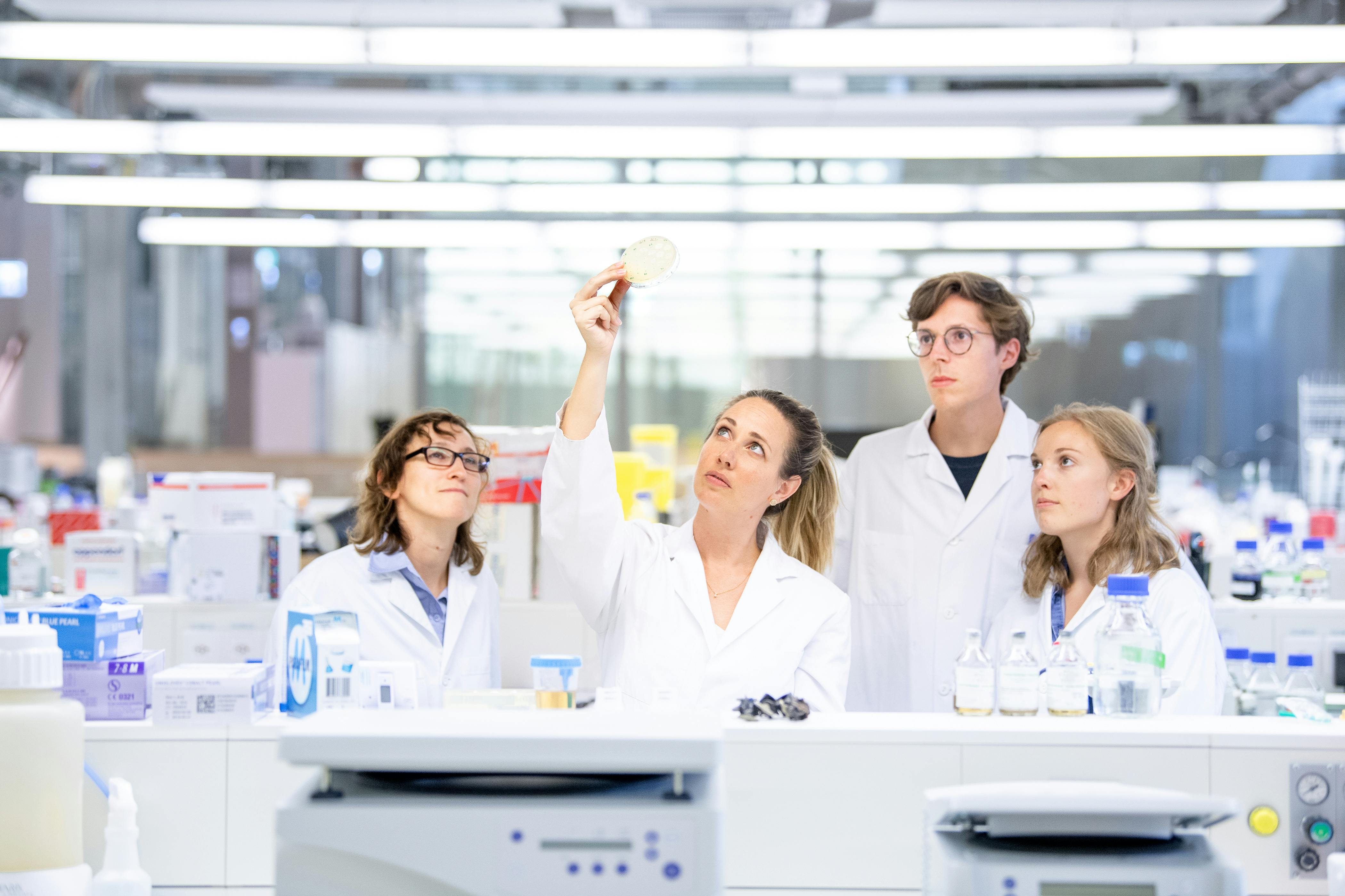 The junior research team examines a patient's bacterial isolate in a petri dish