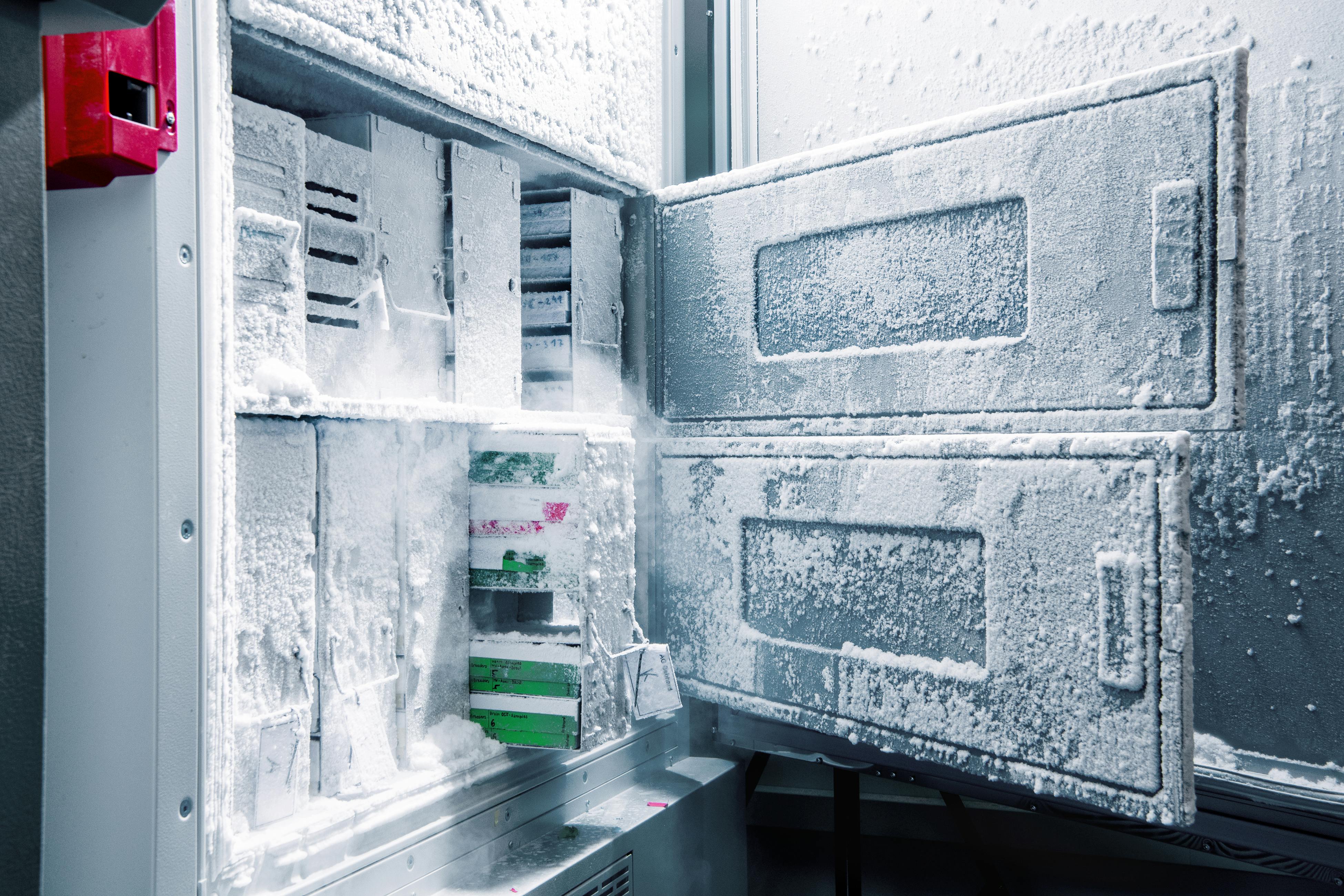 A freezer with patient samples